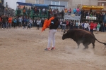 El bou en corda torna a Les Alqueries