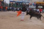 El bou en corda torna a Les Alqueries