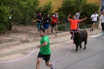 El bou en corda torna a Les Alqueries