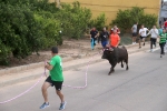 El bou en corda torna a Les Alqueries
