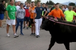 El bou en corda torna a Les Alqueries