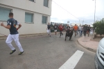 El bou en corda torna a Les Alqueries