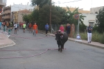 El bou en corda torna a Les Alqueries