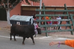 El bou en corda torna a Les Alqueries