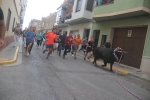 El bou en corda torna a Les Alqueries