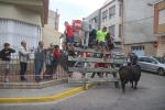 El bou en corda torna a Les Alqueries