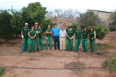 L'alumnat del taller d'ocupació de Nules III de fructicultura condiciona parcel·les municipals