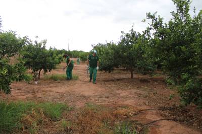 Fotografia /Galeria/2018/10/177680_106071/2_M1.jpg