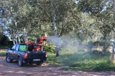 Borriana adequa la zona de l'antic cmping de l'Arenal i realitza una nova campanya de tractaments contra els mosquits