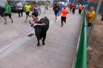 Fem Festa patrocina una exhibició de bou en corda