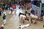 Fotografia /Galeria/2018/10/178359_106584/1_M1.jpg