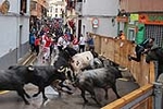 Fotografia /Galeria/2018/10/178359_106584/5_M1.jpg