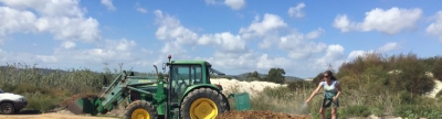 Torreblanca trabaja en un proyecto de agrocompostaje con las cañas extraídas del Prat