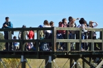 El Paisatge Protegit de la Desembocadura del Millars rep als primers turistes ornitològics familiars de la tardor