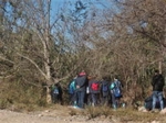 L'anàlisi de la biodiversitat del Clot centra una nova campanya de visites d'escolars de Borriana