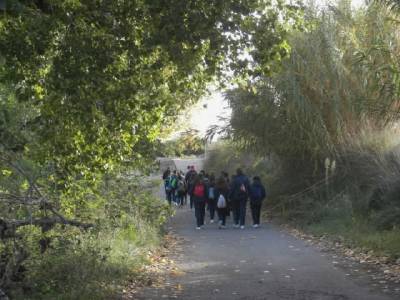 Fotografia /Galeria/2018/11/178808_106954/2_M1.jpg