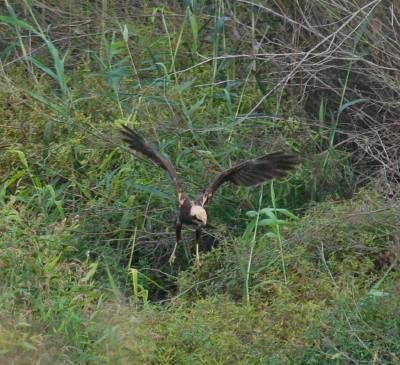 Fotografia /Galeria/2018/11/179020_107128/2_M1.jpg