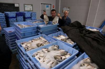 Fotografia /Galeria/2018/11/179253_107323/2_M1.jpg