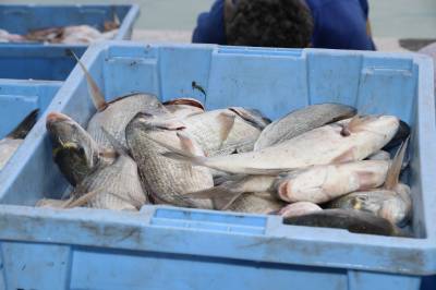 Fotografia /Galeria/2018/11/179253_107323/4_M1.jpg