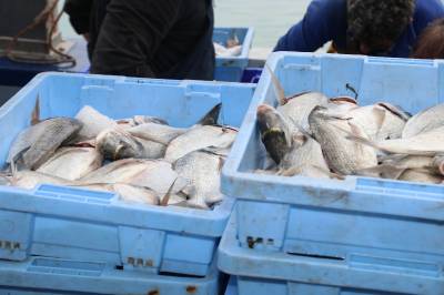 Fotografia /Galeria/2018/11/179253_107323/5_M1.jpg