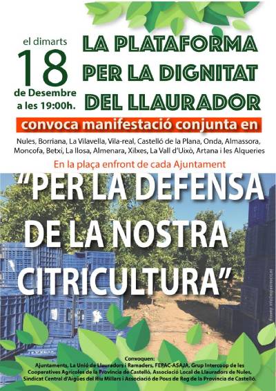 L'Ajuntament d'Almenara recolza les mobilitzacions en defensa de la taronja