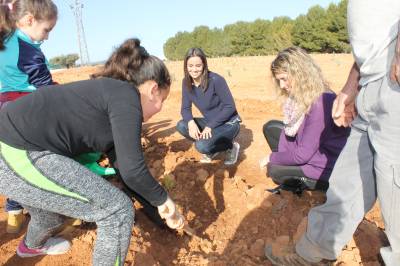 Los nios del colegio de Vall d?Alba plantan 250 pinos para celebrar el Da del rbol