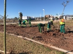 Moncofa renueva el arbolado de las zonas verdes del municipio