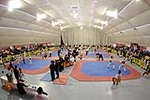 950 participantes en  la II Jornada de la Liga de Taekwondo de la Comunidad Valenciana.