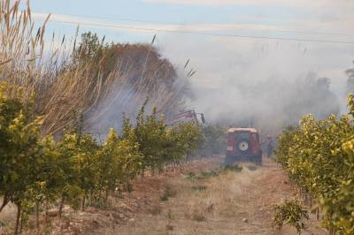 Fotografia /Galeria/2018/2/169302_98938/2_M1.jpg