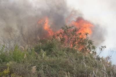 Fotografia /Galeria/2018/2/169302_98938/3_M1.jpg