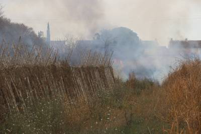 Fotografia /Galeria/2018/2/169302_98938/4_M1.jpg