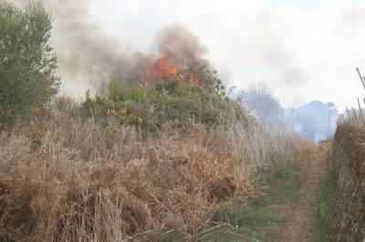 Fotografia /Galeria/2018/2/169302_98938/5_M1.jpg