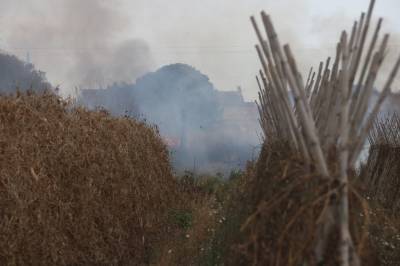 Fotografia /Galeria/2018/2/169302_98938/6_M1.jpg