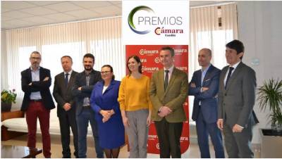 Por unanimidad, el jurado de la Cmara de Comercio de Castelln concede el premio de exportacin 2017 a tres empresas, entre ellas a la empresa de Burriana Satine