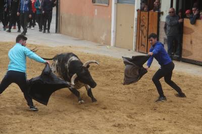 Tarde de toros en las fiestas patronales de Sant Vicent