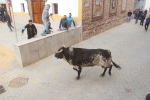 Tarde de toros en las fiestas patronales de Sant Vicent