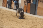 Tarde de toros en las fiestas patronales de Sant Vicent