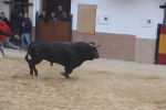 Tarde de toros en las fiestas patronales de Sant Vicent