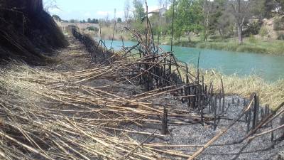 Un incendi crema 200 metres quadrats de vegetaci al Paisatge Protegit de la Desembocadura del riu Millars