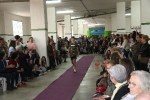 Fira Nova Temporada de ACOSAL con un concurrido defile de moda y actuación de On! Dance