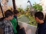 Fotografia /Galeria/2018/5/172163_101335/4_M1.jpg