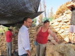 Comencen les obres de conservació i restauració al poblat iber del Puig a Benicarló