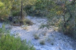 Un enorme vertido ilegal de lodos y basura amenazan el Paisaje Protegido de la Desembocadura del Millars