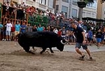 Burriana exhibirá 3 toros más en la Misericòrdia