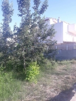 Fotografia /Galeria/2018/7/175238_103958/2_M1.jpg