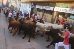 Els bous de Germán Vidal obrin el capítol dels tancaments de Les Penyes en Festes 2018