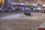 Els bous de Germán Vidal obrin el capítol dels tancaments de Les Penyes en Festes 2018
