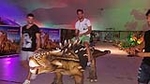 Los jugadores del CD Castellón visitan la exposición Dinosaurs Tour en Marina d´Or