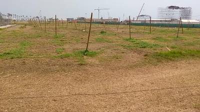 Fotografia /Galeria/2018/8/175552_104232/3_M1.jpg