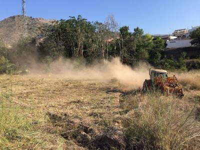 Las brigadas de limpieza forestal trabajan en la Vall d'Uix para mitigar el riesgo de incendios